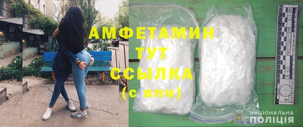 хмурый Нестеровская